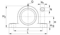 直立式軸承座單元 PASE45-TV-FA125.5, 塑料軸承座，帶偏心鎖圈的外球面球軸承，帶 Corrotect? 涂層，P型密封