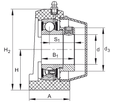 直立式軸承座單元 PSHE45-TV-FA125.5, 塑料軸承座，帶偏心鎖圈的外球面球軸承，帶 Corrotect? 涂層，P型密封