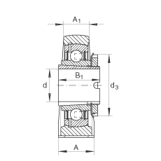 直立式軸承座單元 RASEA25-N, 鑄鐵軸承座，帶緊定套的外球面球軸承，R 型密封