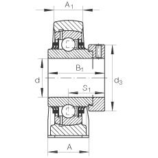 直立式軸承座單元 TSHE25-N, 鑄鐵軸承座，帶偏心鎖圈的外球面球軸承，T 型密封